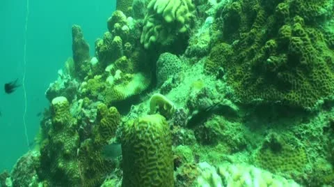 Pond5 108 Stock Footage 10883763