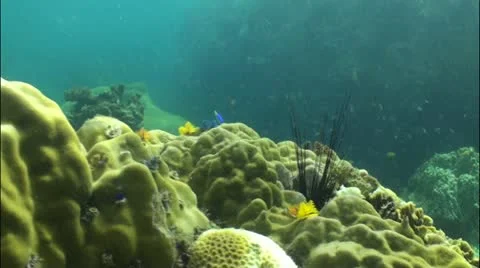 Pond5 11 Stock Footage 10837662