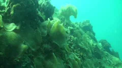 Pond5 112 Stock Footage 10883797