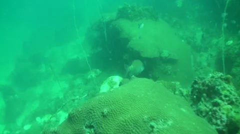 Pond5 113 Stock Footage 10886171