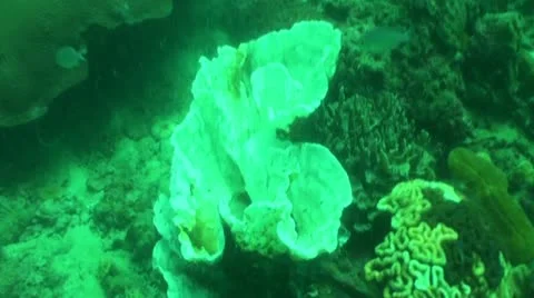 Pond5 114 Stock Footage 10883791