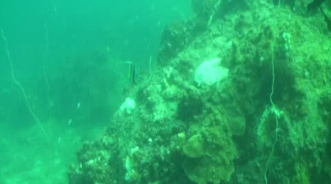 Pond5 117 Stock Footage 10886291