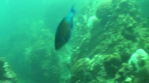 Pond5 118 Stock Footage 10884192