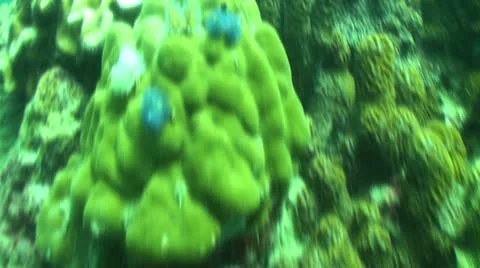 Pond5 119 Stock Footage 10883900