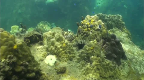 Pond5 12 Stock Footage 10838335