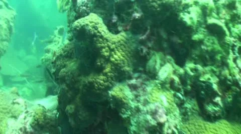 Pond5 120 Stock Footage 10883906