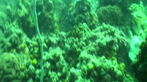 Pond5 123 Stock Footage 10883992