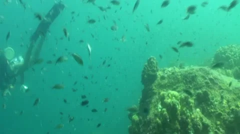 Pond5 125 Stock Footage 10883927