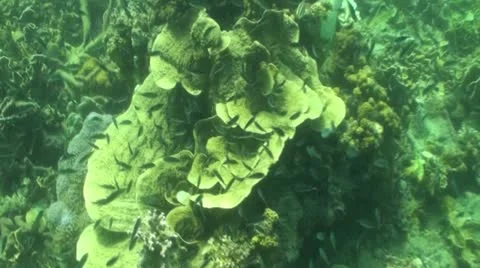 Pond5 128 Stock Footage 10886514