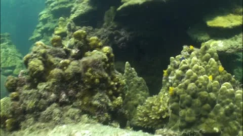 Pond5 13 Stock Footage 10838444