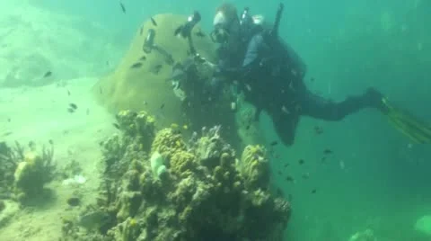 Pond5 130 Stock Footage 10886645