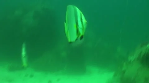 Pond5 132 Stock Footage 10886766