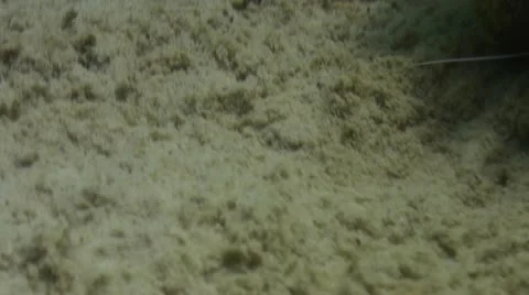 Pond5 138 Stock Footage 10893663