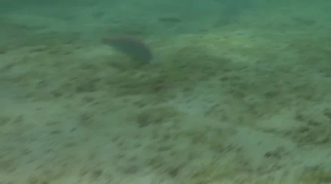 Pond5 139 Stock Footage 10893670