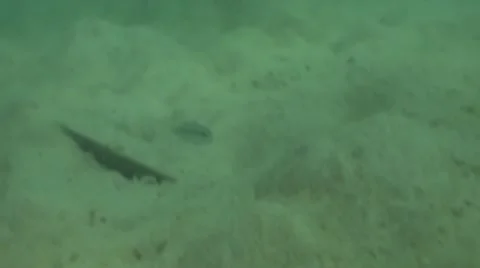 Pond5 140 Stock Footage 10893684