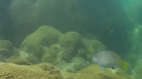 Pond5 142 Stock Footage 10893716