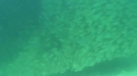 Pond5 145 Stock Footage 10893763