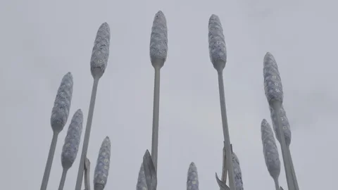 Pond5 15 Slog Stock Footage 116556225