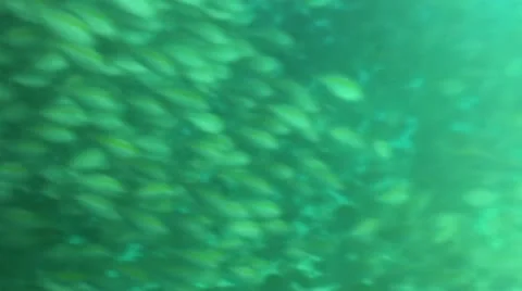 Pond5 152 Stock Footage 10893845