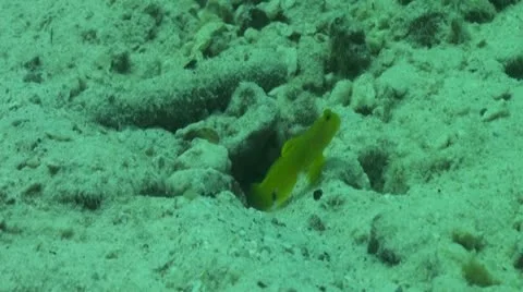 Pond5 156 Stock Footage 10893888