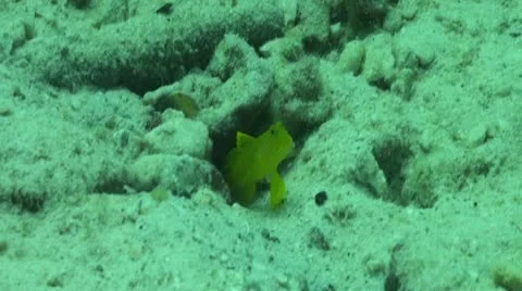 Pond5 157 Stock Footage 10893903