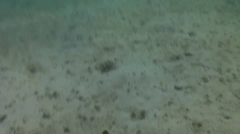 Pond5 162 Stock Footage 10893934