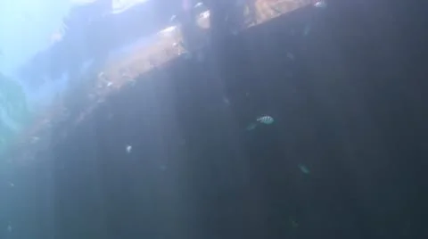 Pond5 164 Stock Footage 10893960