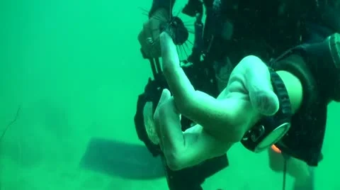 Pond5 167 Stock Footage 10893985