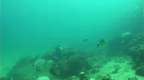 Pond5 17 Stock Footage 10838590