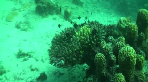 Pond5 170 Stock Footage 10894005