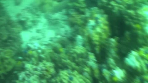 Pond5 172 Stock Footage 10894023