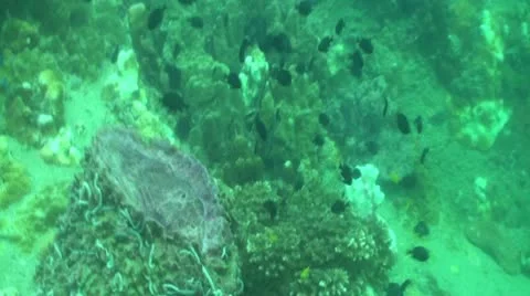 Pond5 173 Stock Footage 10894028