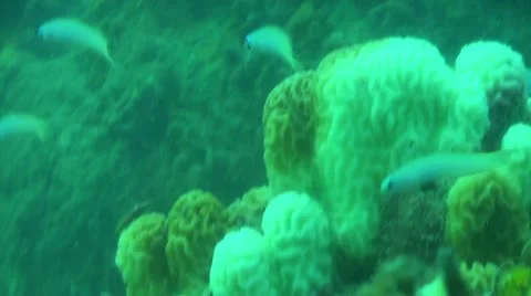 Pond5 176 Stock Footage 10894079