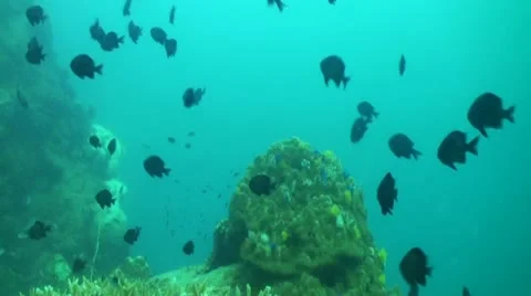 Pond5 177 Stock Footage 10894087