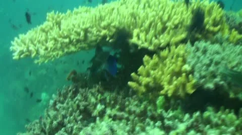 Pond5 178 Stock Footage 10894089