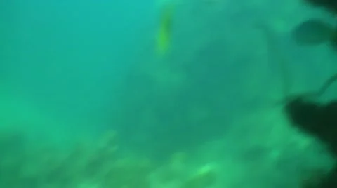 Pond5 179 Stock Footage 10894092