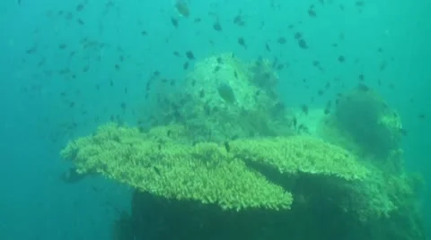 Pond5 180 Stock Footage 10894099