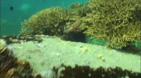 Pond5 21 Stock Footage 10837855