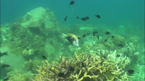 Pond5 24 Stock Footage 10838533