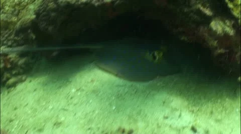 Pond5 25 Stock Footage 10838353