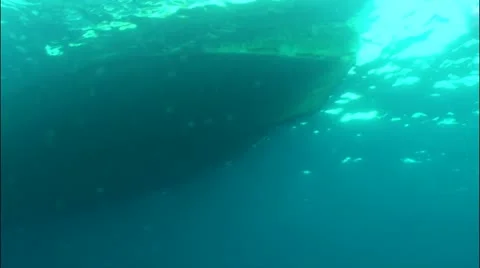 Pond5 27 Stock Footage 10856947