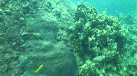 Pond5 3 Stock Footage 10837523