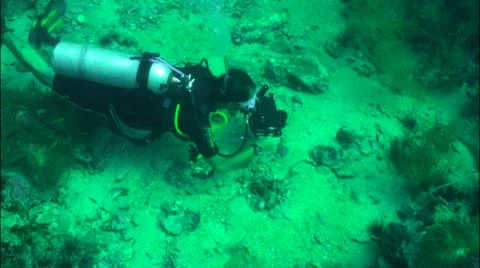 Pond5 33 Stock Footage 10857843