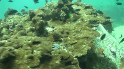 Pond5 34 Stock Footage 10856657