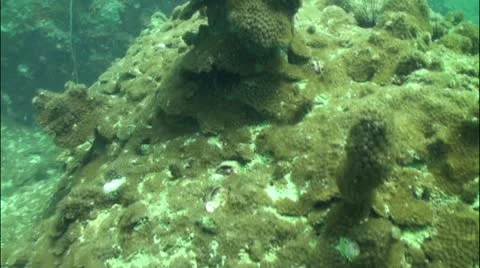 Pond5 35 Stock Footage 10857459