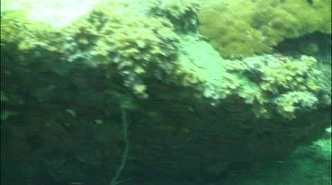 Pond5 36 Stock Footage 10856780