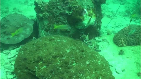 Pond5 39 Stock Footage 10857495