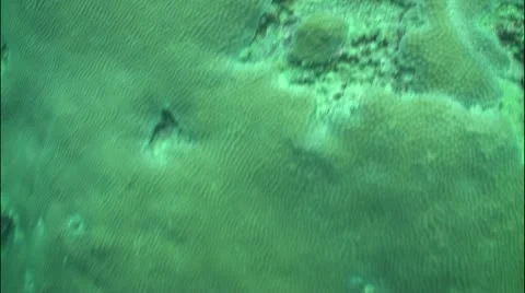 Pond5 4 Stock Footage 10837835