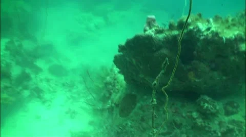 Pond5 41 Stock Footage 10858094