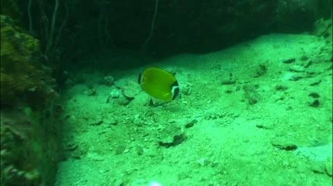 Pond5 42 Stock Footage 10856815